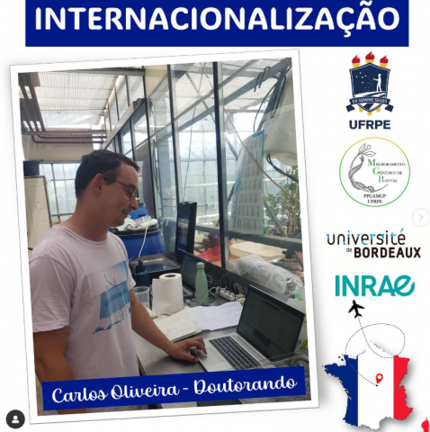 internacionalização