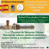 Programa Professor Visitante do Exterior